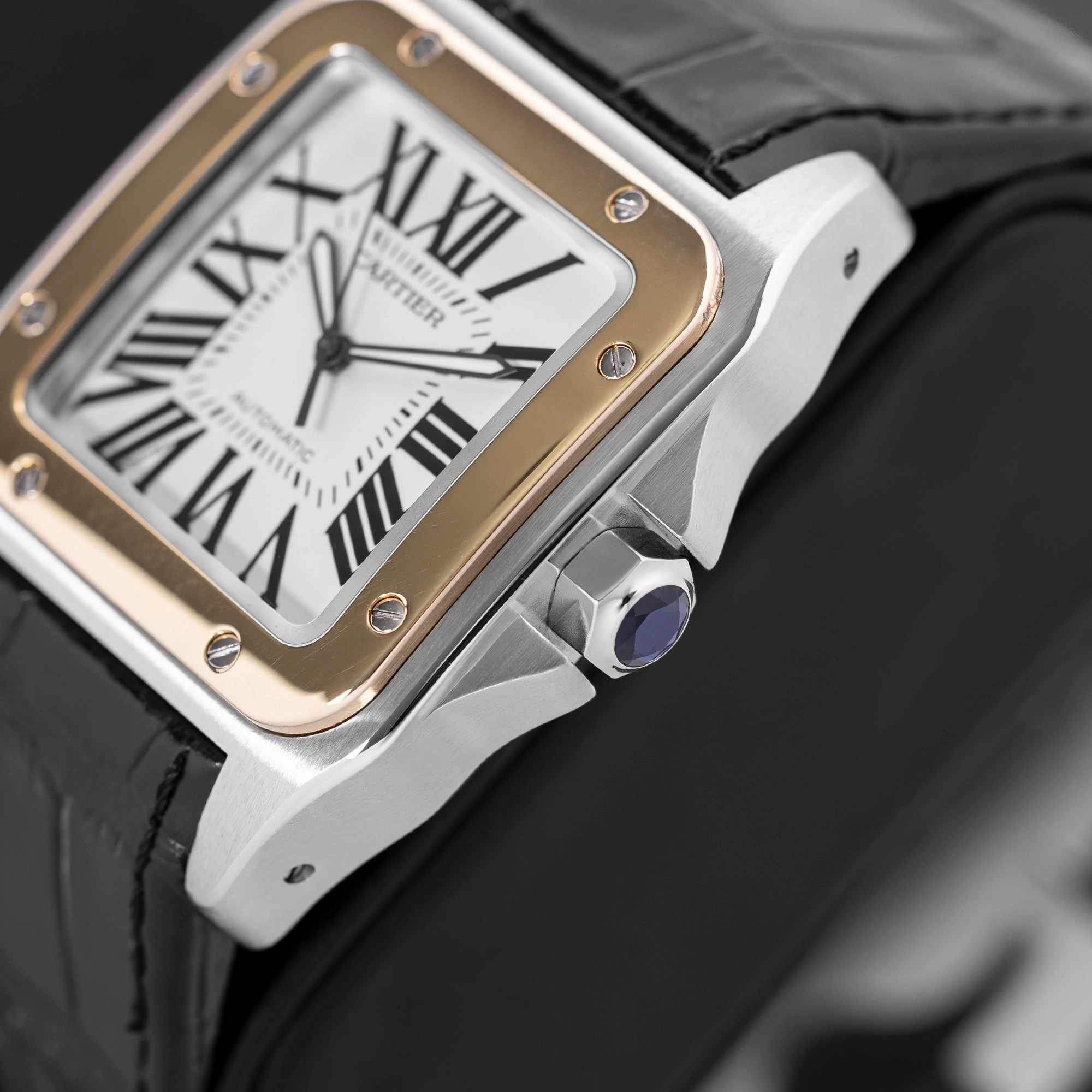 Cartier Santos 100 W20072X7