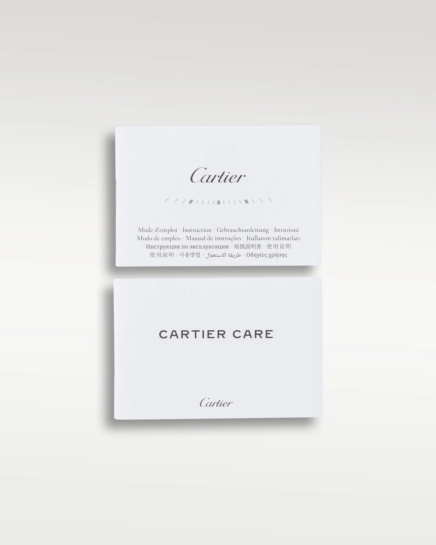 Cartier Santos de Cartier WSSA0018
