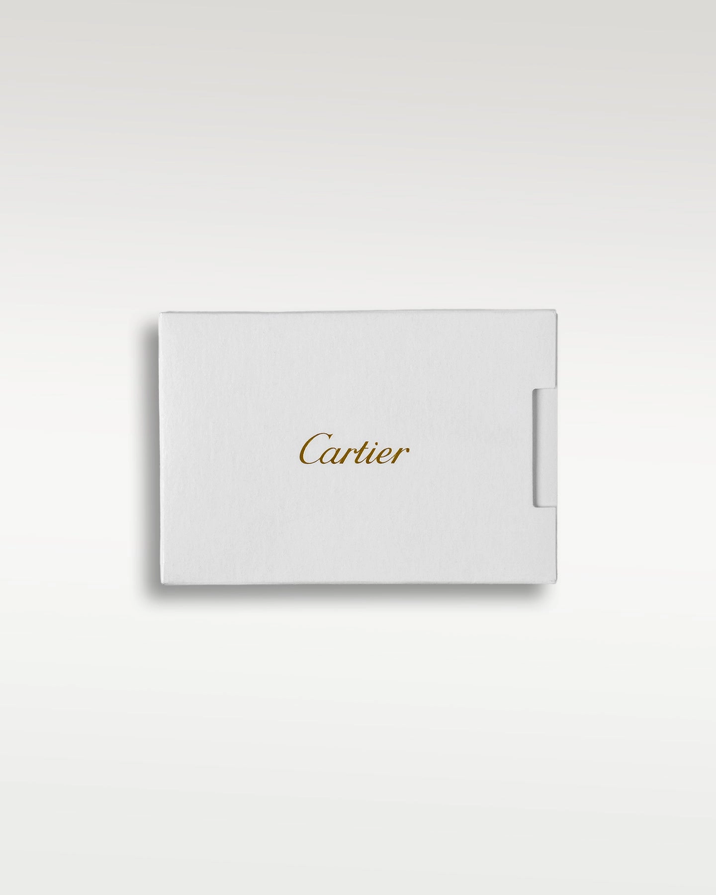 Cartier Santos De Cartier WSSA0018
