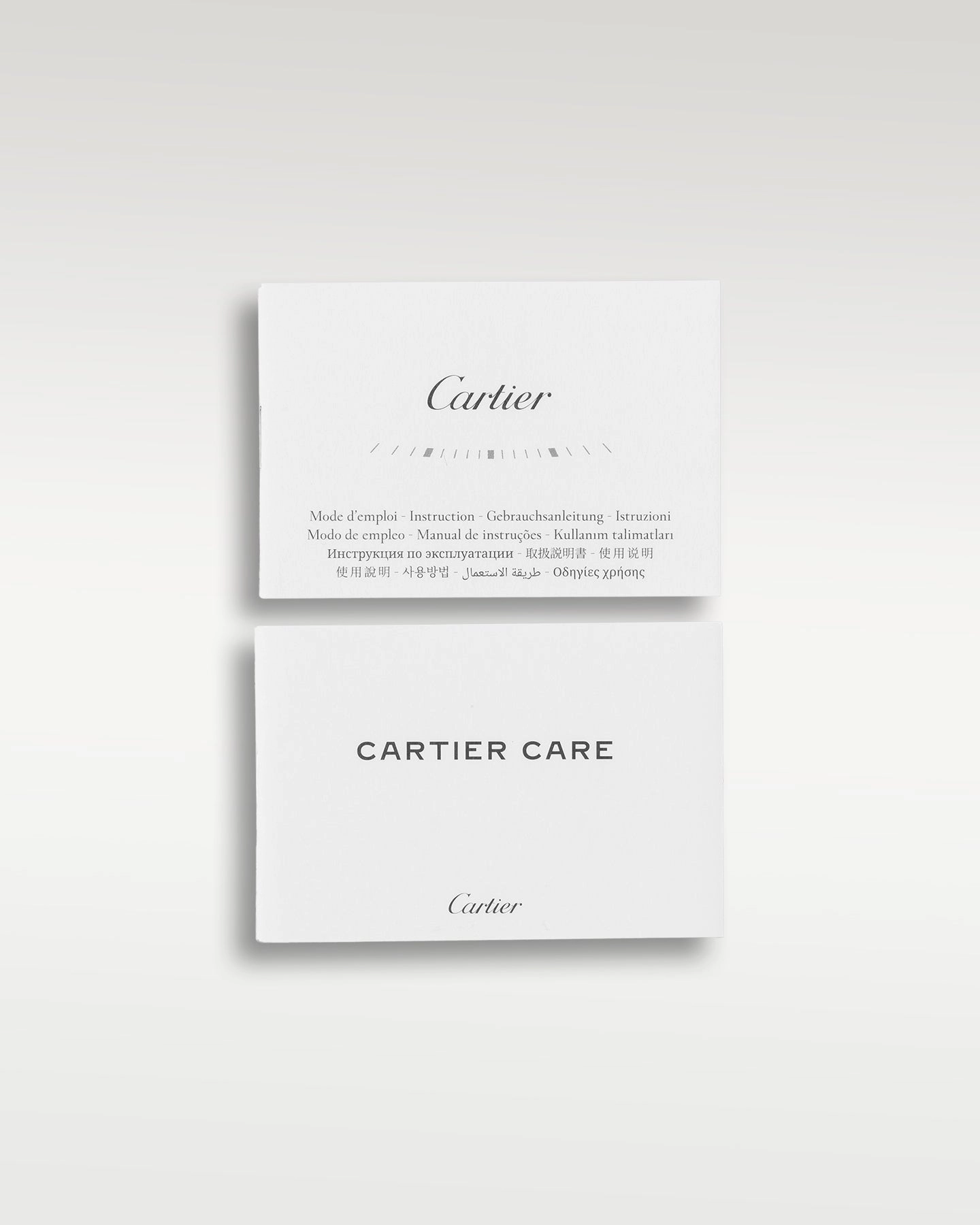 Cartier Santos De Cartier WSSA0018