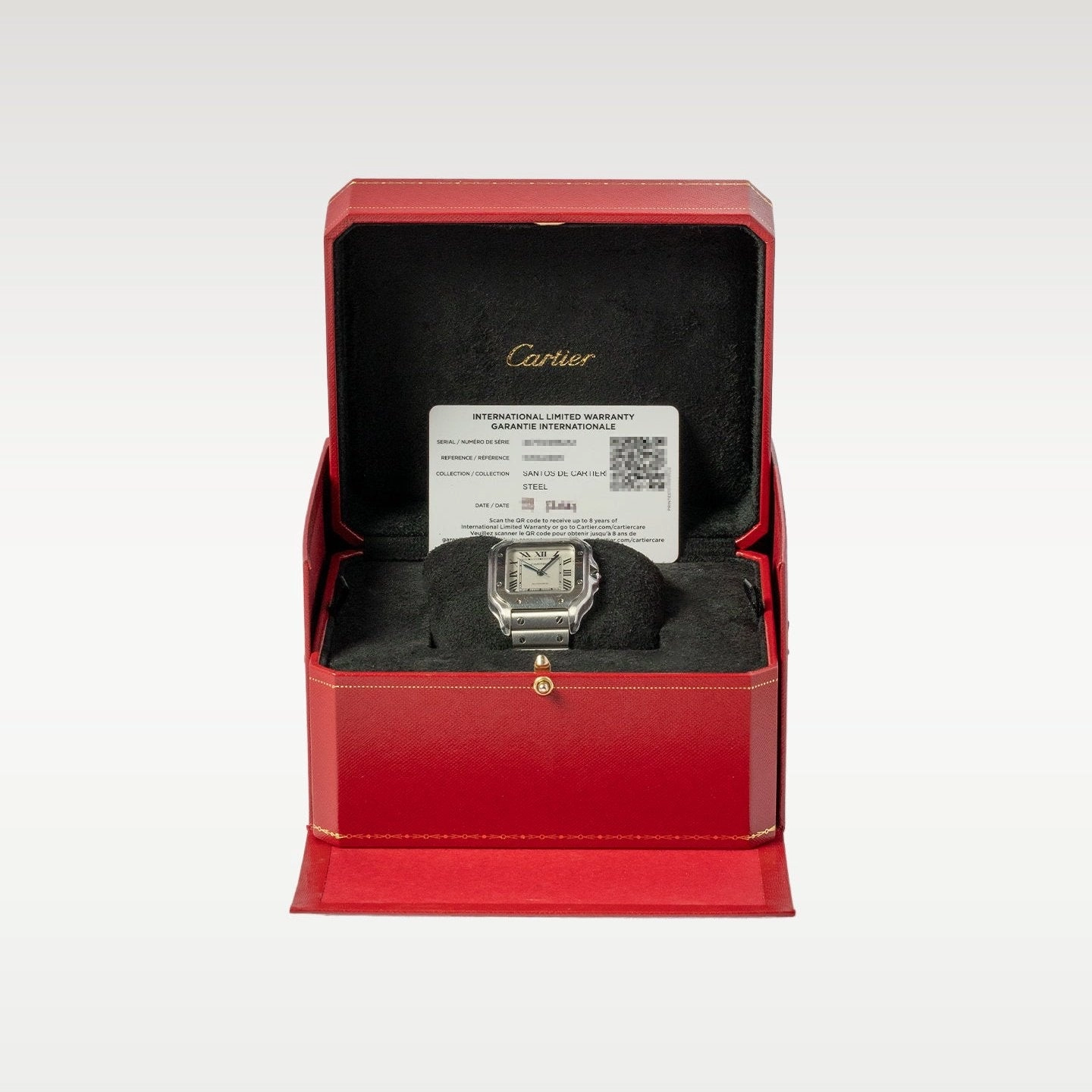 Cartier Santos Steel WSSA0029