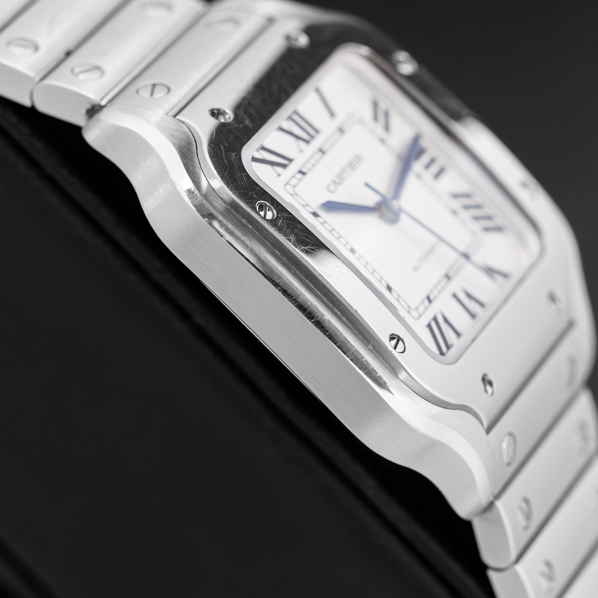 Cartier Santos Steel WSSA0029