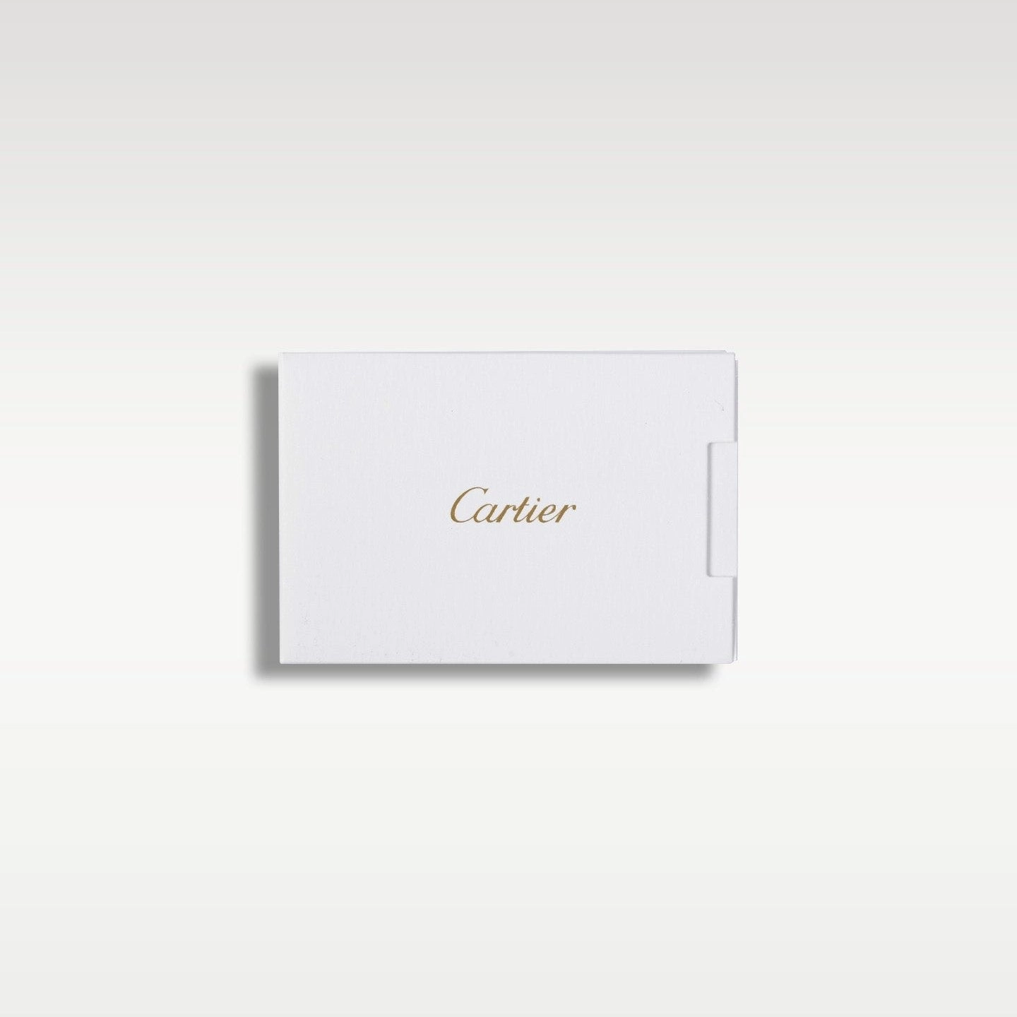 Cartier Santos WSSA0018