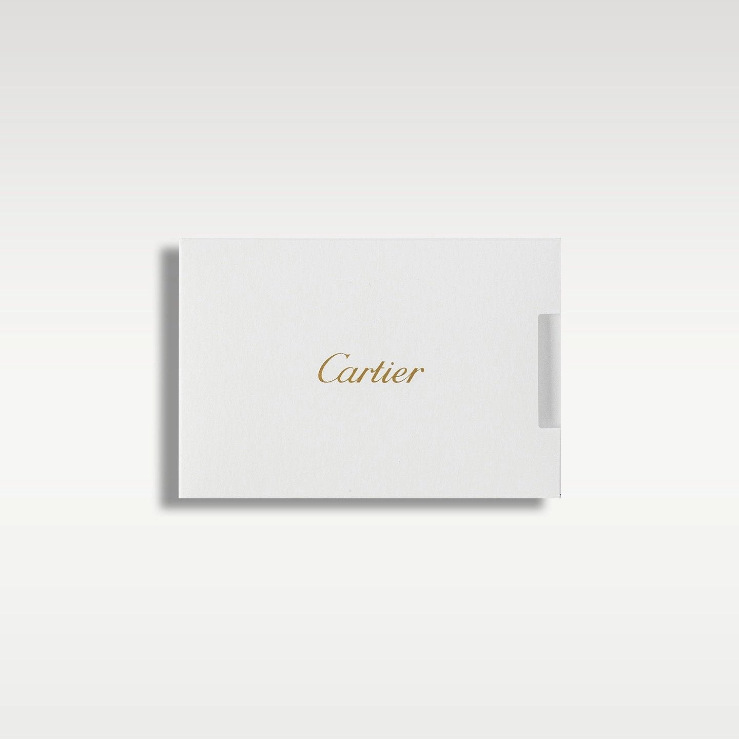Cartier Santos WSSA0047