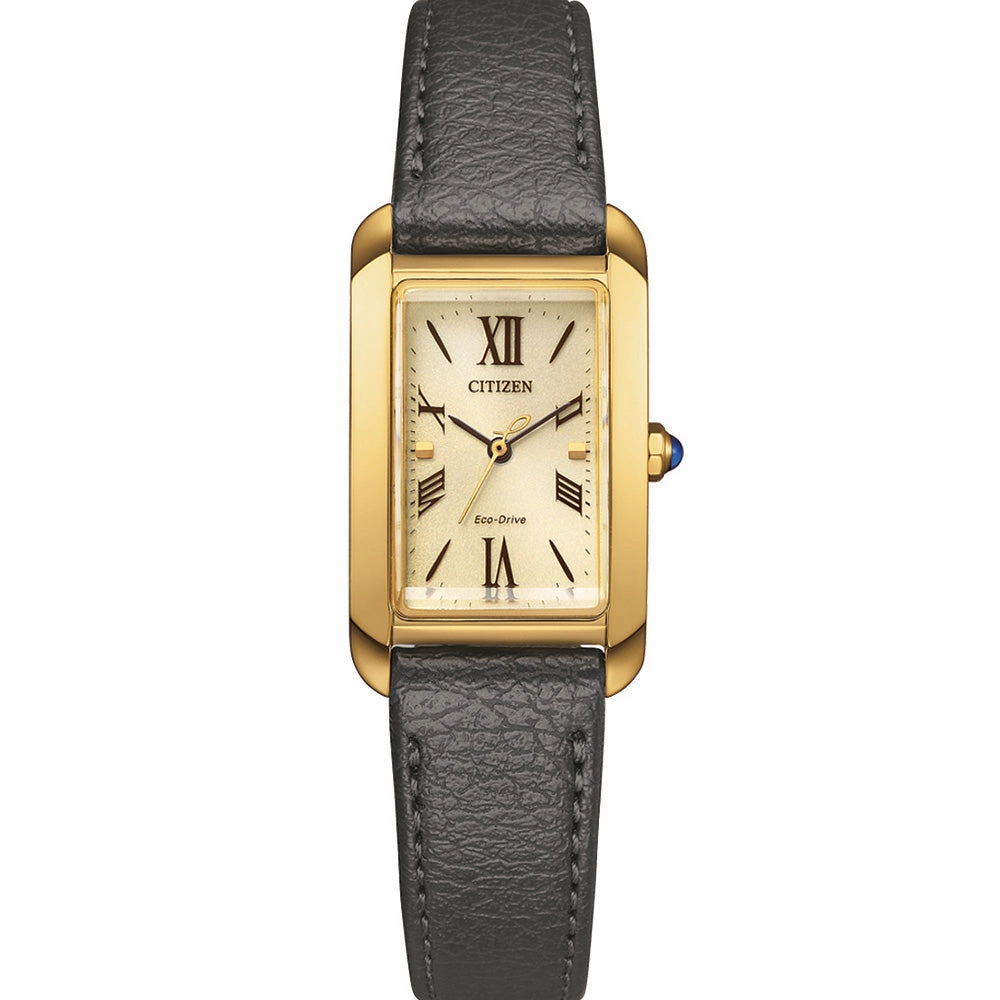 Citizen Eco-Drive EW5622-09P
