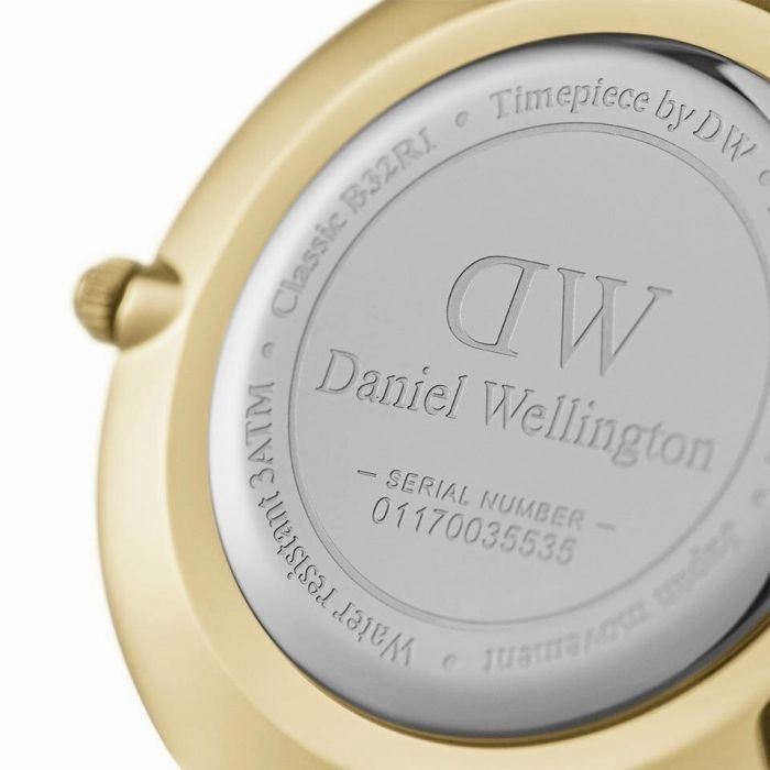 Daniel Wellington Petite Evergold DW00100348