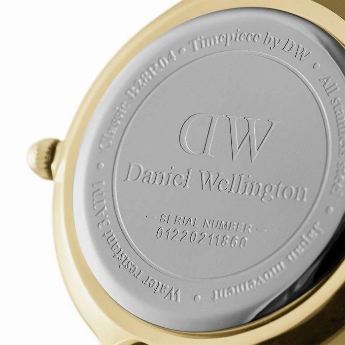 Daniel Wellington Petite Evergold DW00100350