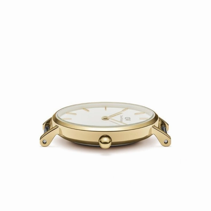 Daniel Wellington Petite Evergold DW00100350