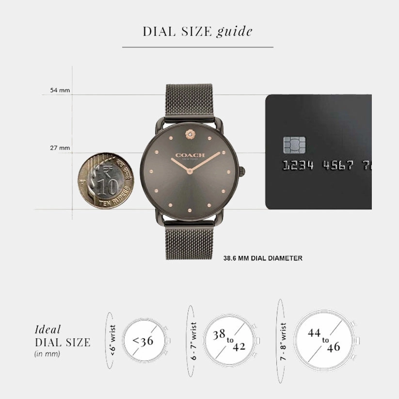 Elliot Women Quartz Brown Dial Analog Mesh Watch 14504210