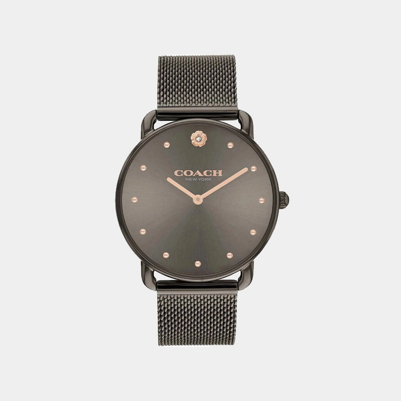 Elliot Women Quartz Brown Dial Analog Mesh Watch 14504210