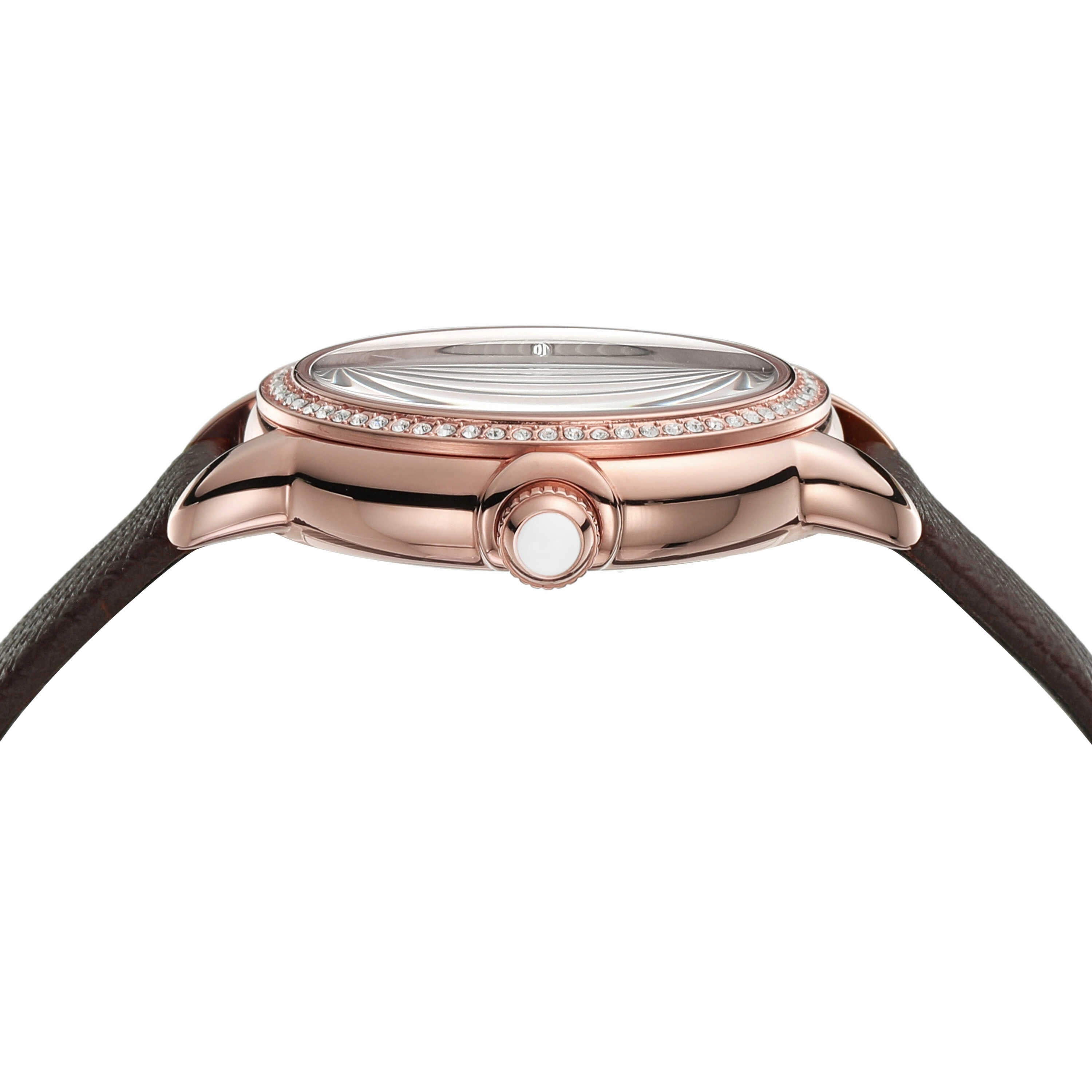 Emporio Armani Brown Analogue Watch AR11568