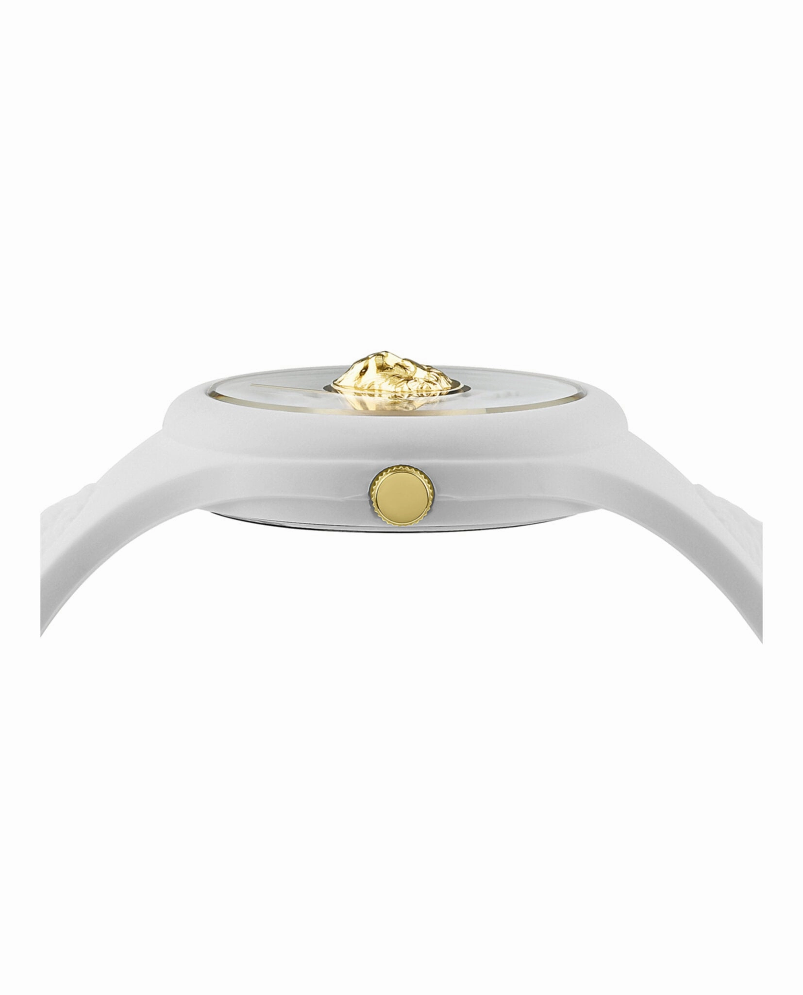 Fire Island Lion Strap Watch
