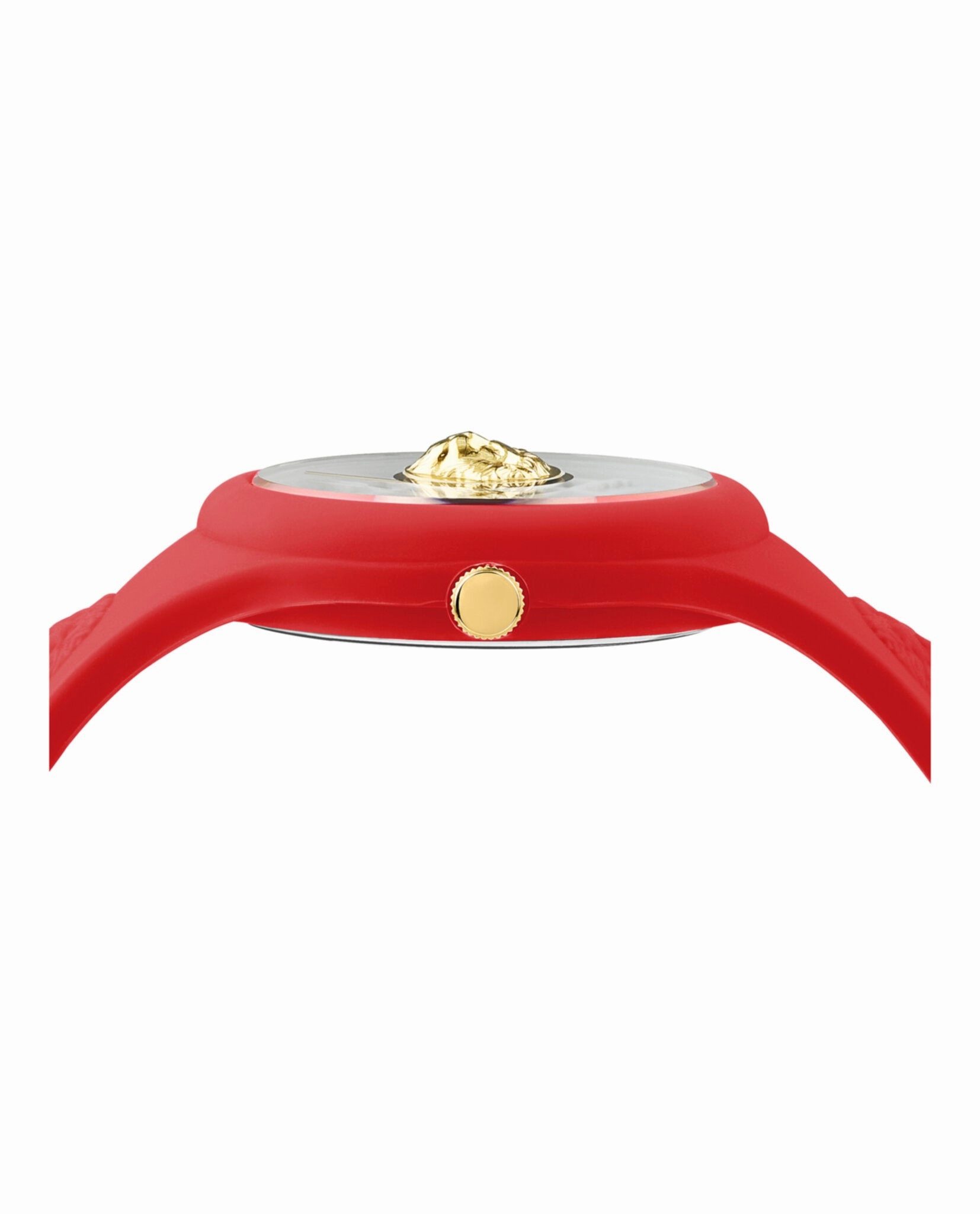 Fire Island Lion Strap Watch