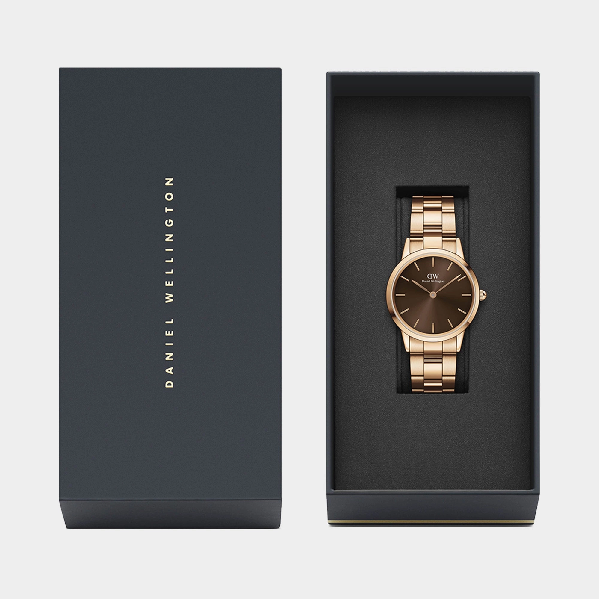 Iconic Women's Brown Analog Stainless Steel Watch DW00100462