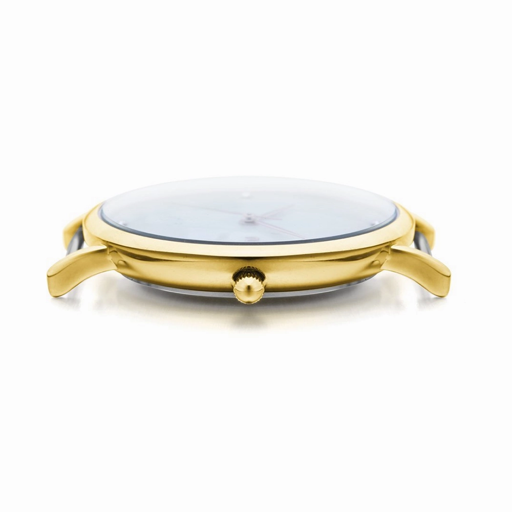 Lafayette Gold Mesh | ???????W??????l