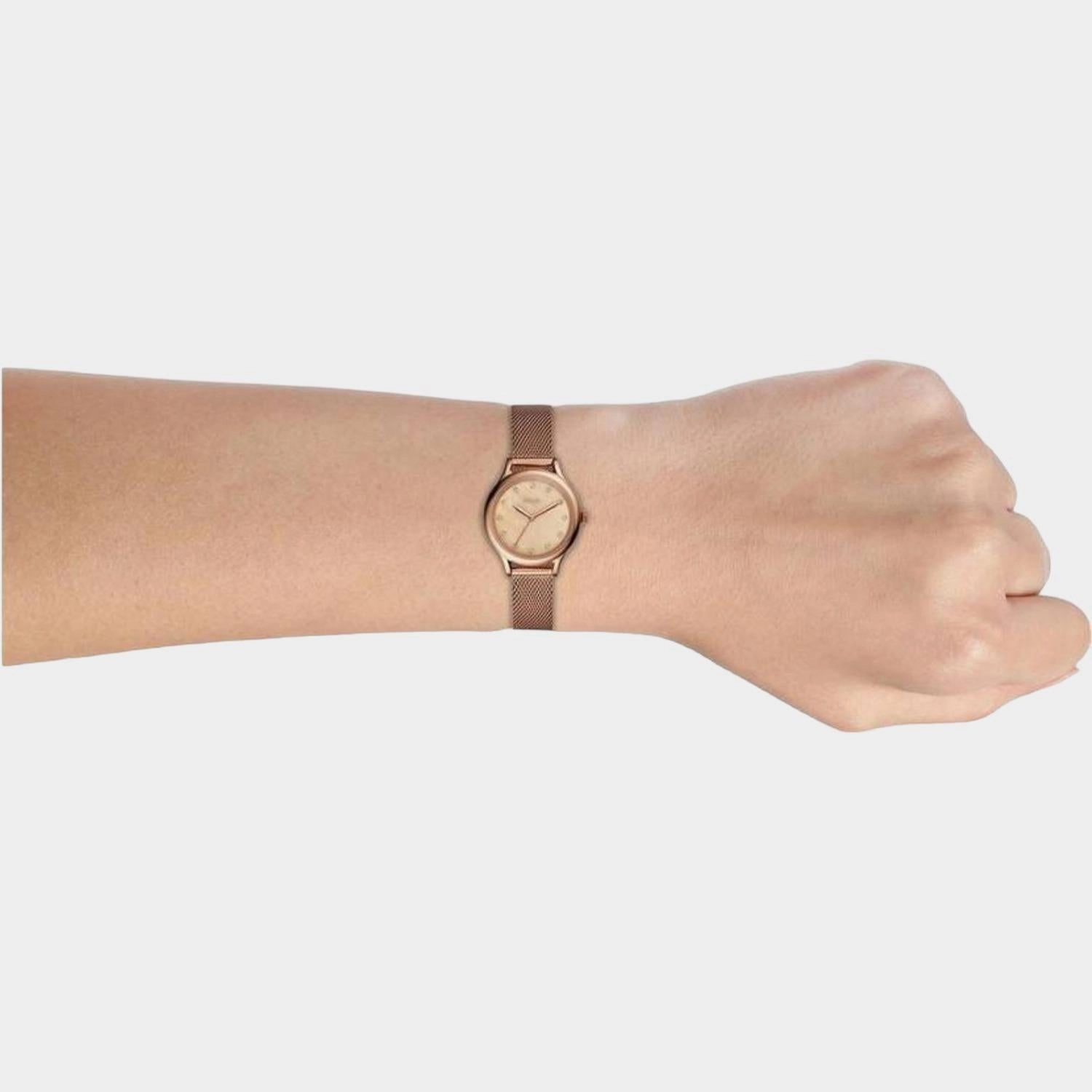 Laney Women Quartz Rose Gold Analog Stainless Steel Watch BQ3392