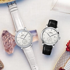 LOBINNI Couple Watch Famous Brand Watch Mechanical Automatic Watches Women Watch Sapphire Watch Leather Skeleton Watch Lovers