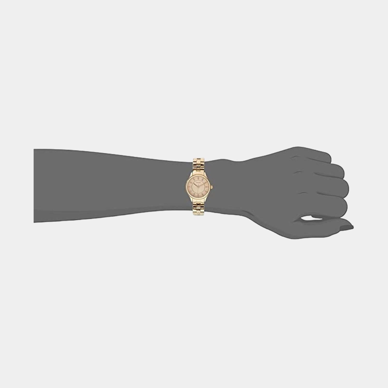 Modern Sophisticate Women Quartz Rose Gold Dial Analog Stainless Steel Watch BQ1571