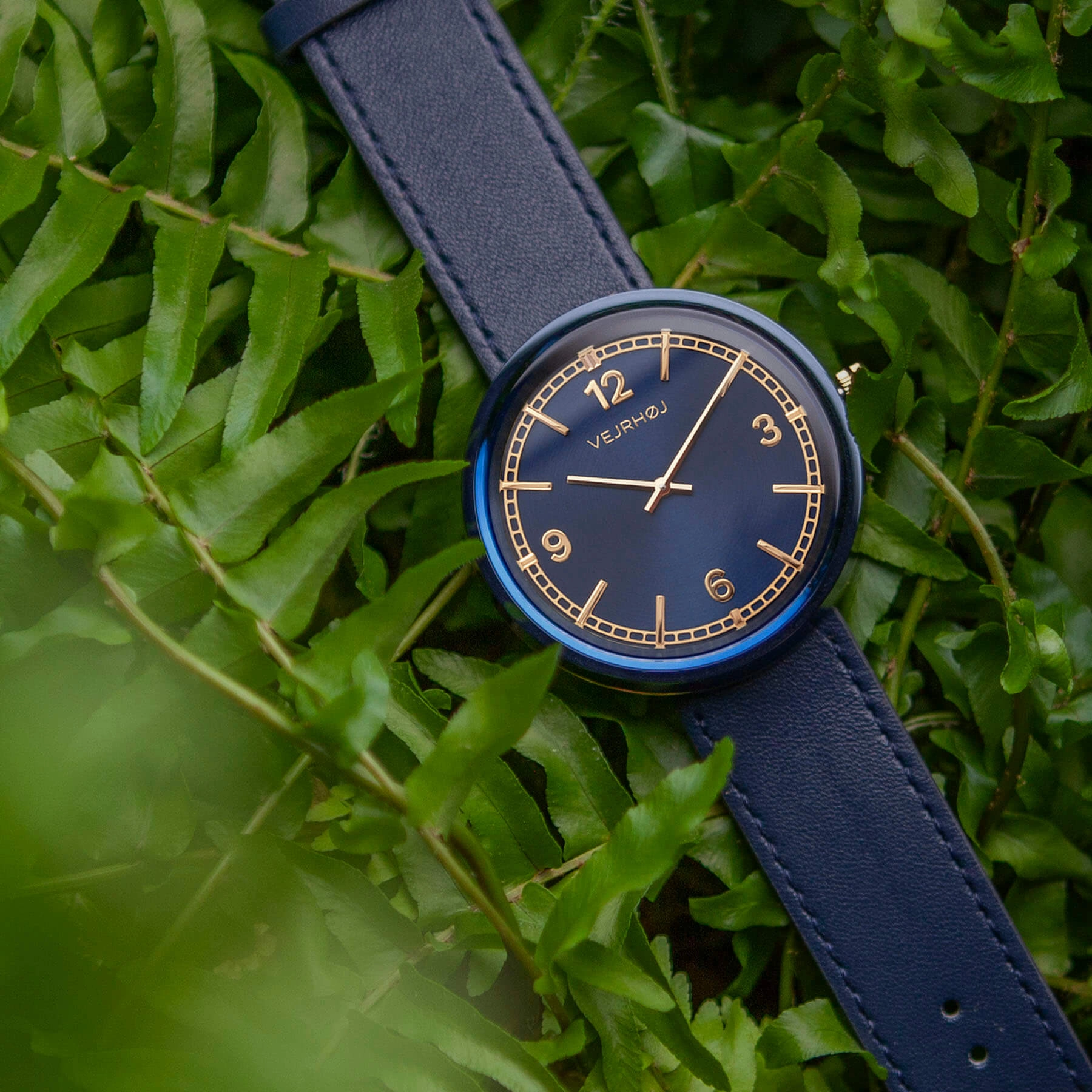 NORDIC | blue