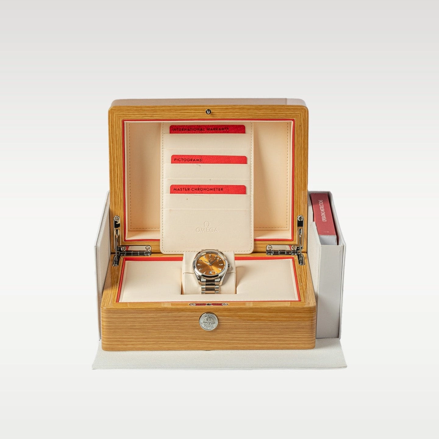 Omega Seamaster 220.10.38.20.12.001