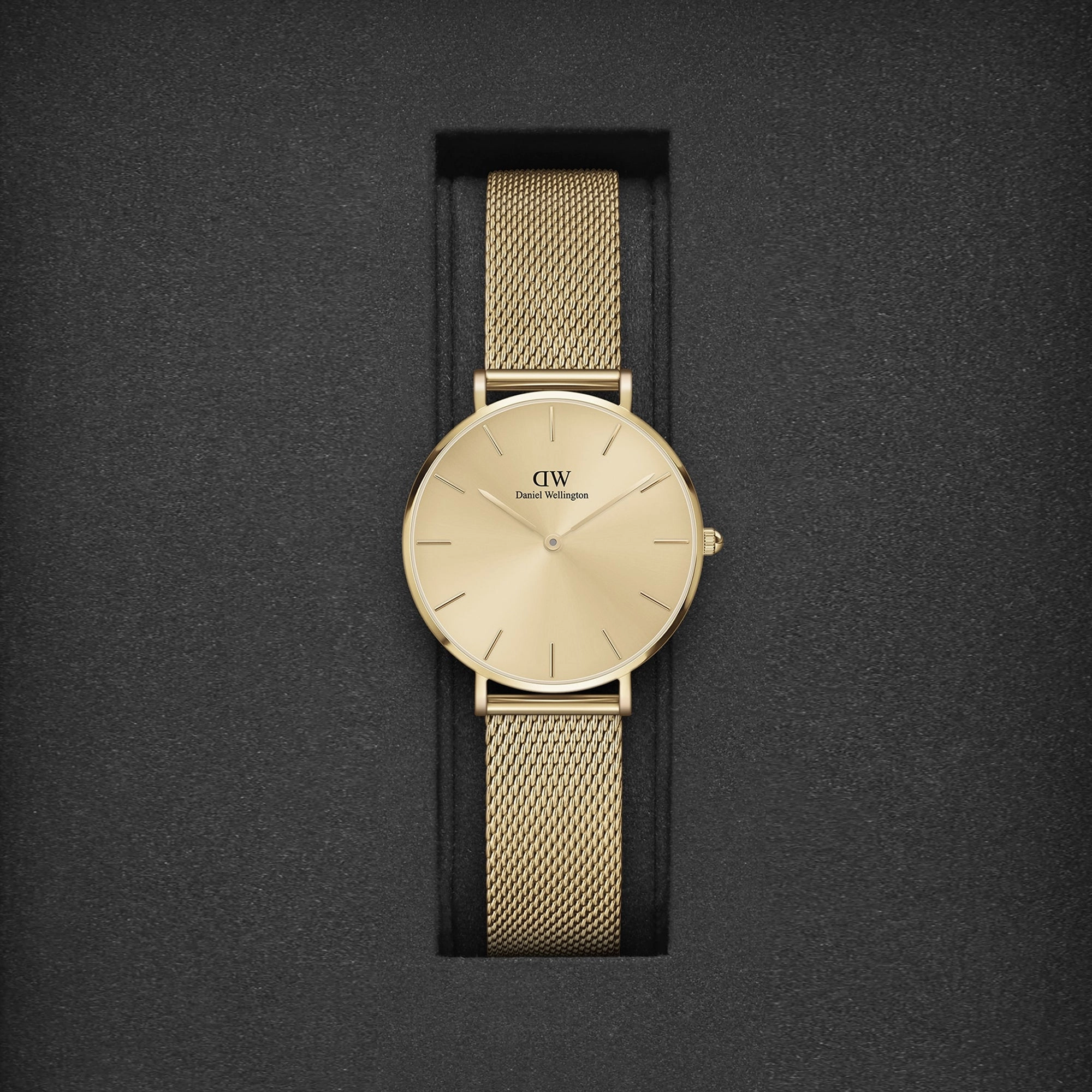 Petite Women's Gold Analog Stainless Steel Watch DW00100474