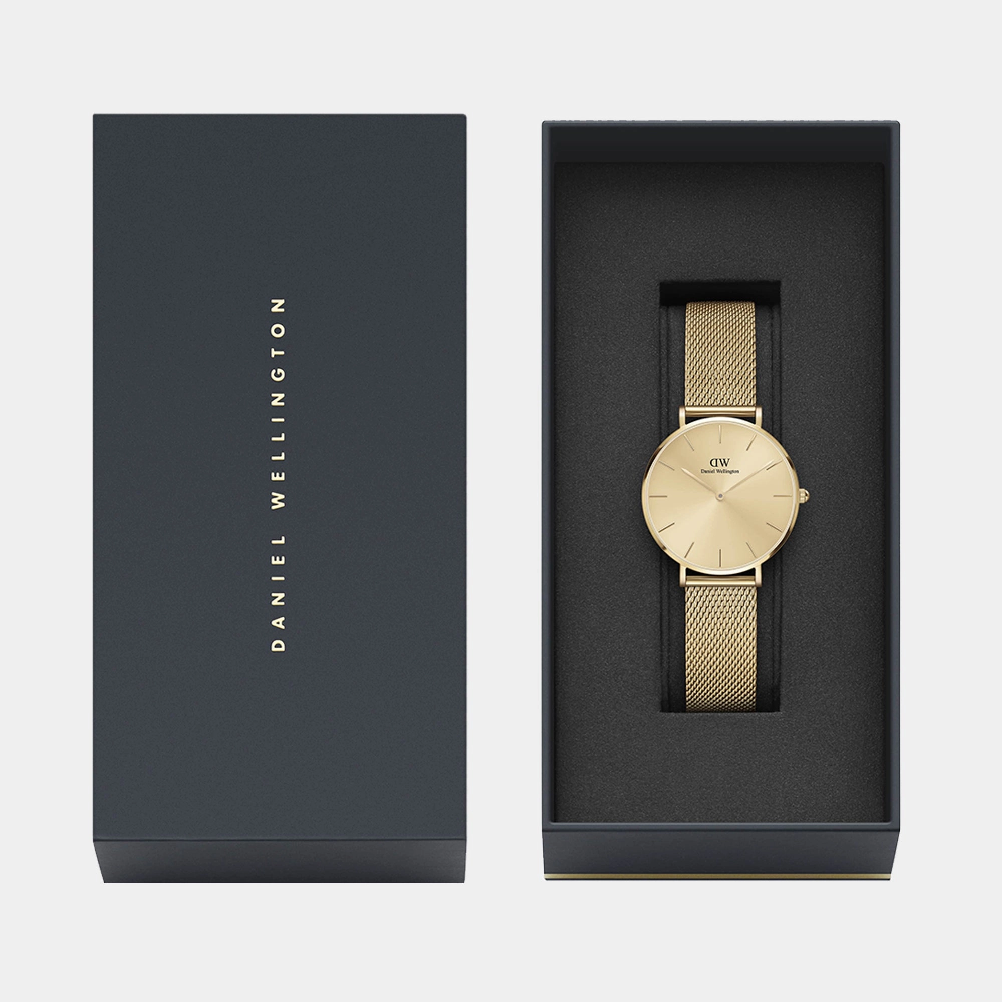 Petite Women's Gold Analog Stainless Steel Watch DW00100474