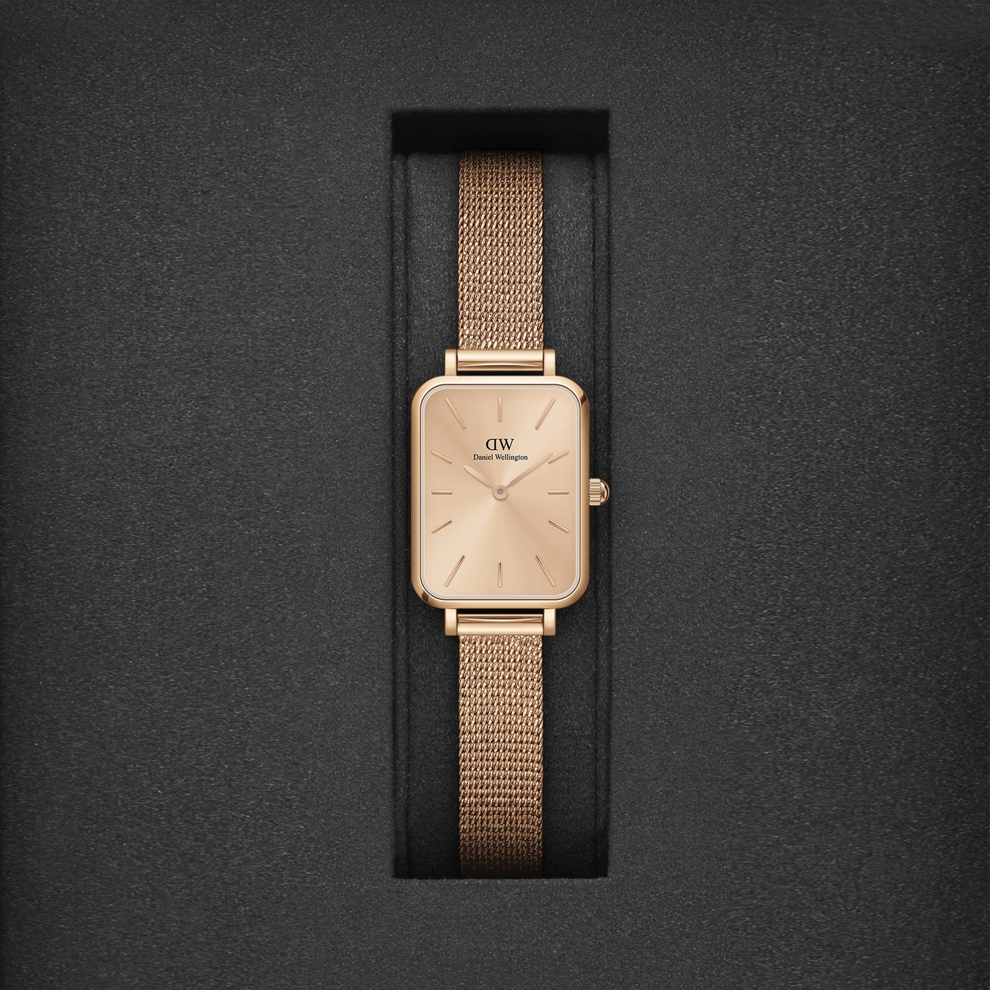 Quadro Women's Rose Gold Analog Stainless Steel Watch DW00100484