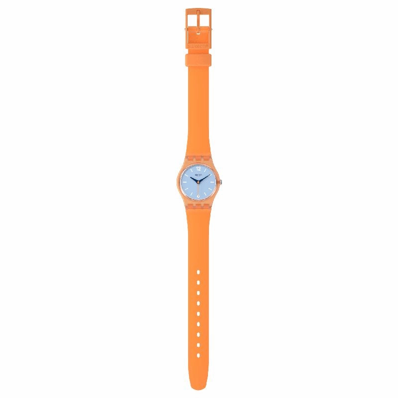 Swatch VIEW FROM A MESA Watch LO116
