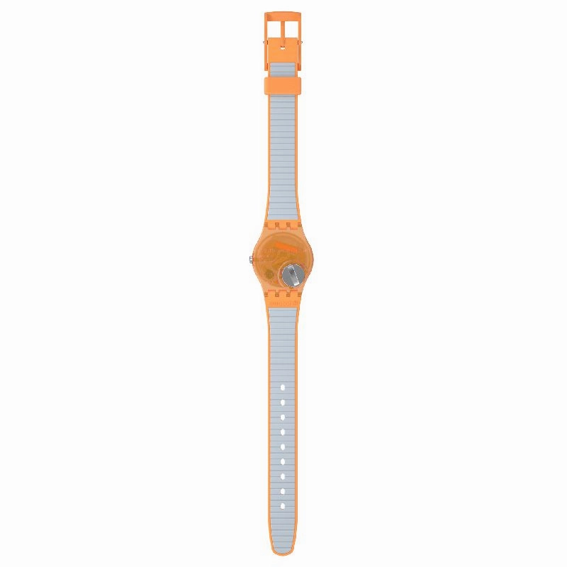 Swatch VIEW FROM A MESA Watch LO116