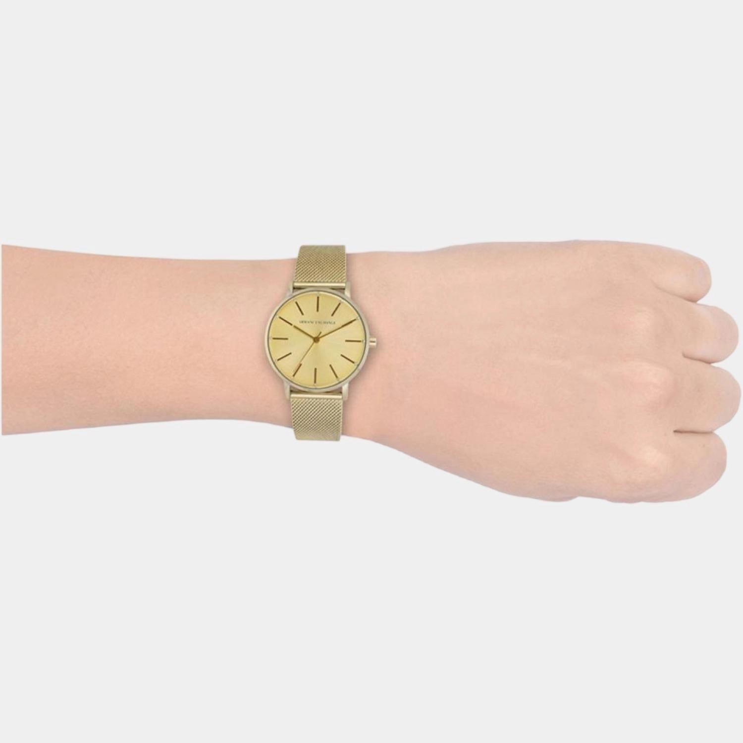 Women Gold Analog Stainless Steel Watch AX5536