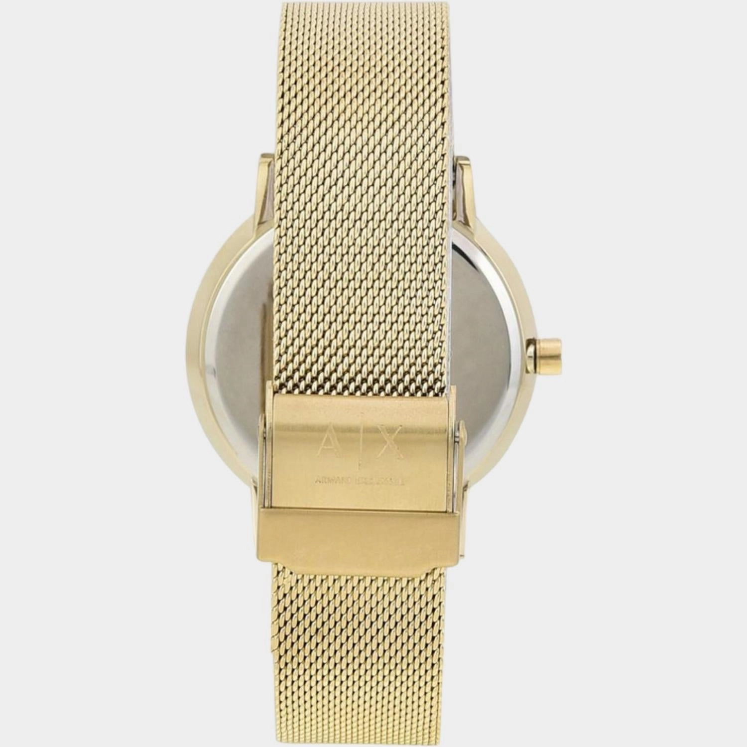 Women Gold Analog Stainless Steel Watch AX5536