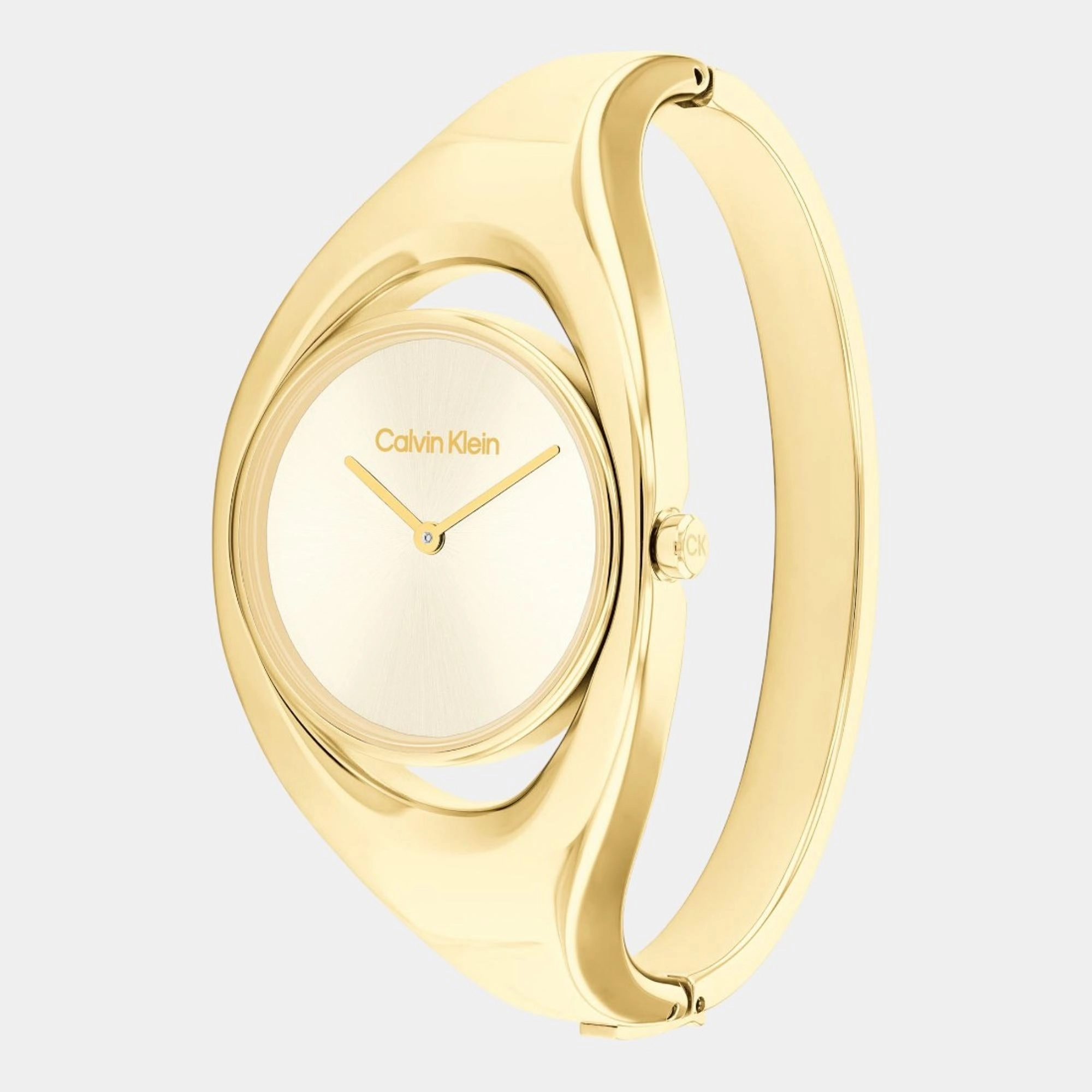 Women Quartz Analog Champagne Dial Stainless Steel Watch 25200391