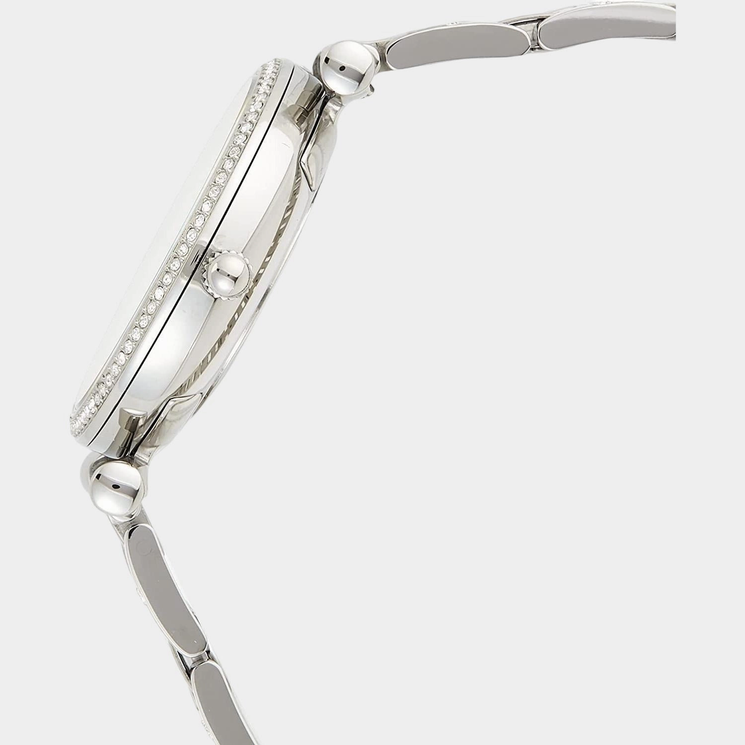 Women's Silver Analog Stainless Steel Watch ES4341